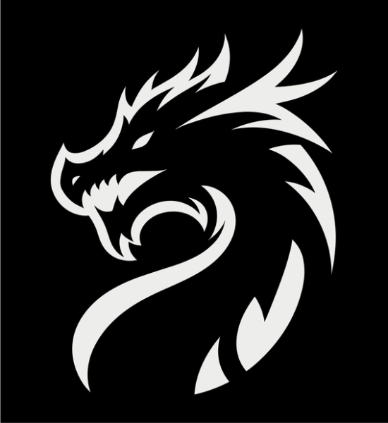 dragon gaming (2).jpg