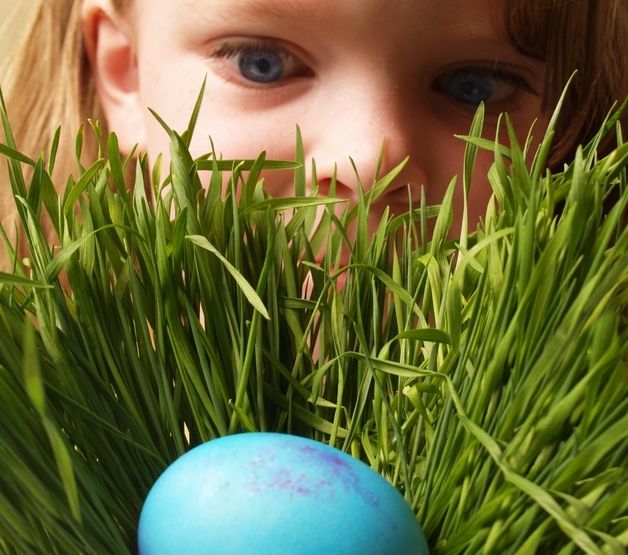 easter_in_the_park_800x532.jpg